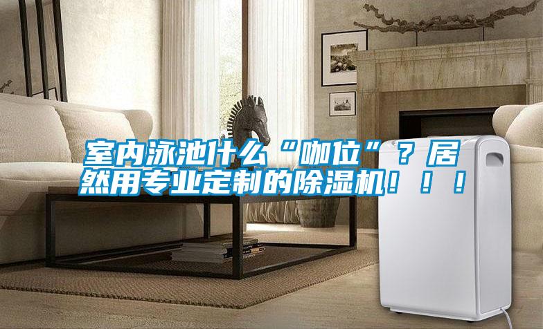室內(nèi)泳池什么“咖位”？居然用專業(yè)定制的除濕機！??！