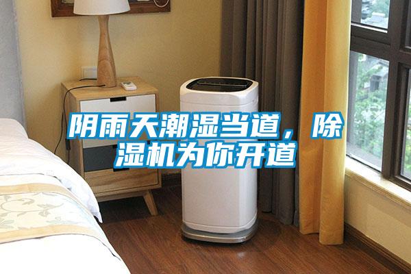 陰雨天潮濕當?shù)?，除濕機為你開道