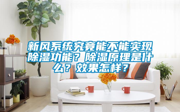 新風(fēng)系統(tǒng)究竟能不能實現(xiàn)除濕功能？除濕原理是什么？效果怎樣？