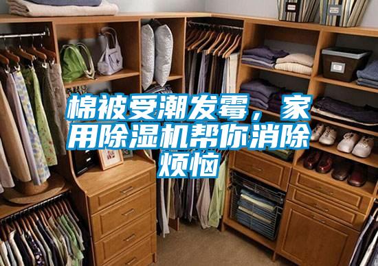 棉被受潮發(fā)霉，家用除濕機(jī)幫你消除煩惱