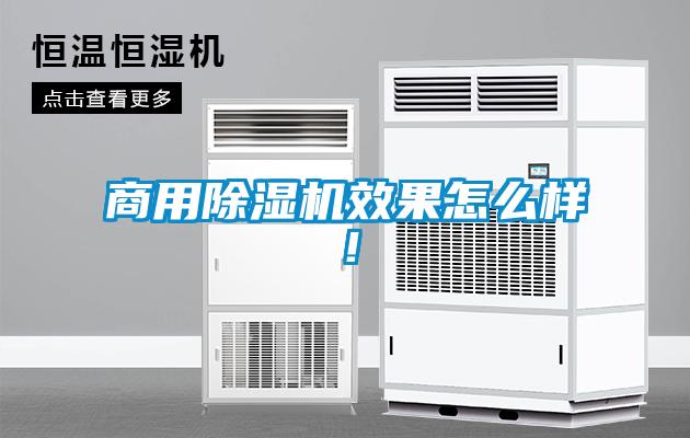 商用除濕機效果怎么樣！