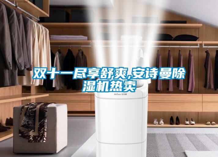 雙十一盡享舒爽,安詩(shī)曼除濕機(jī)熱賣(mài)
