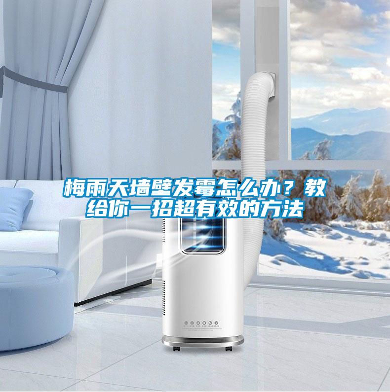 梅雨天墻壁發(fā)霉怎么辦？教給你一招超有效的方法