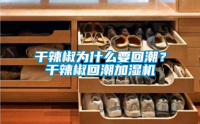 干辣椒為什么要回潮？干辣椒回潮加濕機