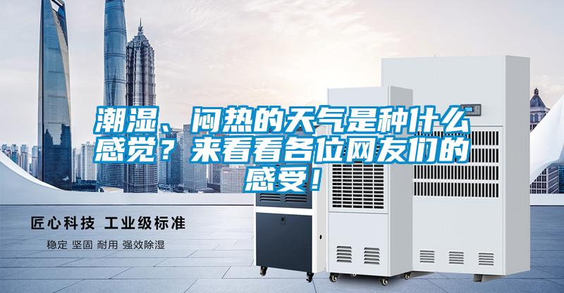 潮濕、悶熱的天氣是種什么感覺？來看看各位網(wǎng)友們的感受！