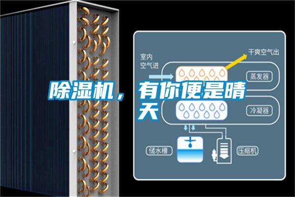 除濕機，有你便是晴天