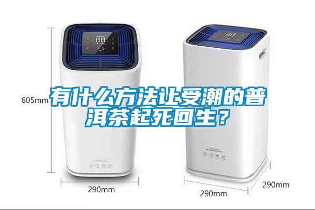 有什么方法讓受潮的普洱茶起死回生？