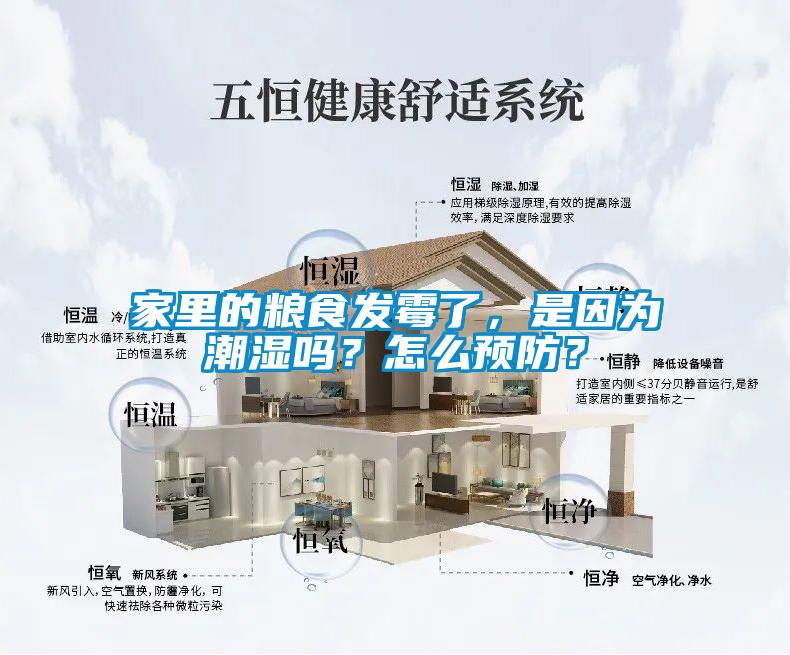 家里的糧食發(fā)霉了，是因?yàn)槌睗駟幔吭趺搭A(yù)防？