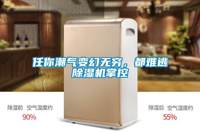 任你潮氣變幻無窮，都難逃除濕機(jī)掌控