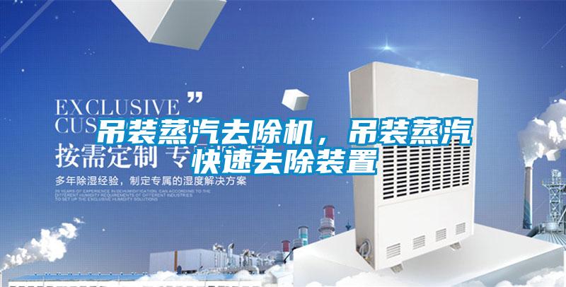 吊裝蒸汽去除機(jī)，吊裝蒸汽快速去除裝置