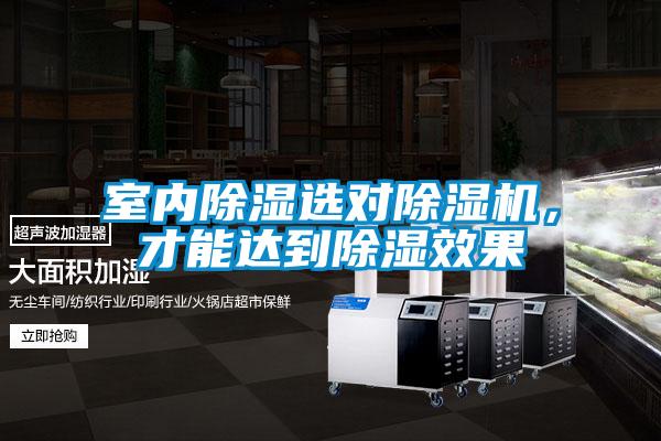 室內(nèi)除濕選對除濕機，才能達到除濕效果