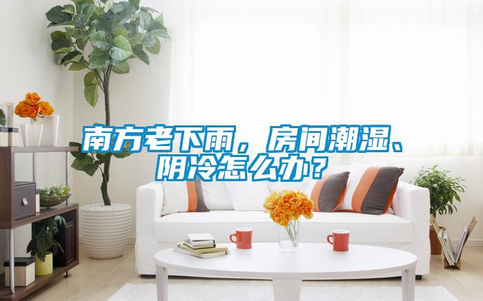 南方老下雨，房間潮濕、陰冷怎么辦？