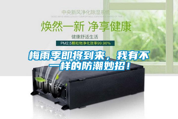梅雨季即將到來(lái)，我有不一樣的防潮妙招！