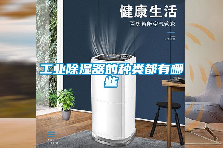 工業(yè)除濕器的種類(lèi)都有哪些