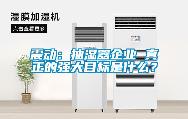 震動(dòng)：抽濕器企業(yè) 真正的強(qiáng)大目標(biāo)是什么？