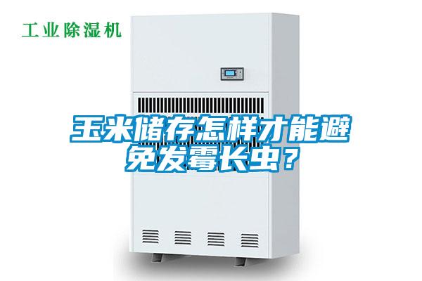 玉米儲(chǔ)存怎樣才能避免發(fā)霉長(zhǎng)蟲？