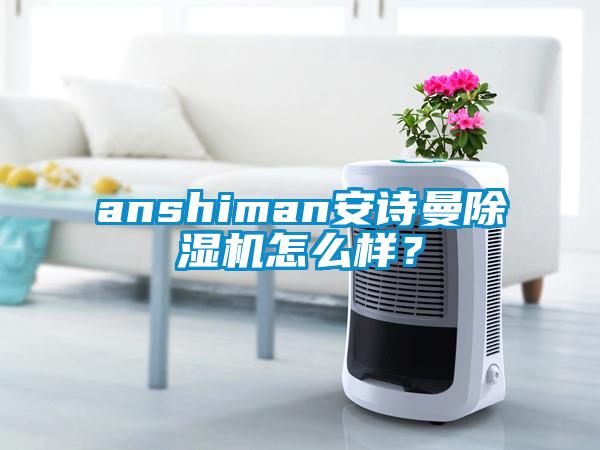 anshiman安詩曼除濕機怎么樣？