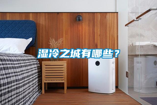 濕冷之城有哪些？