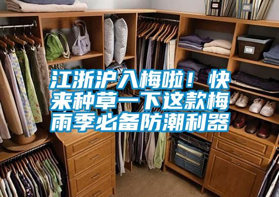 江浙滬入梅啦！快來種草一下這款梅雨季必備防潮利器