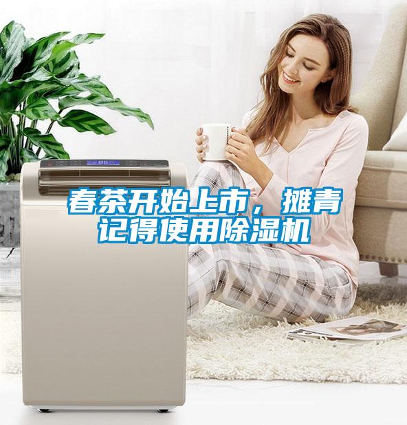 春茶開始上市，攤青記得使用除濕機(jī)