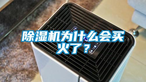 除濕機(jī)為什么會(huì)買火了？