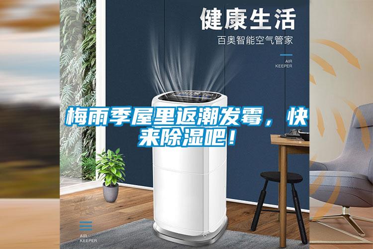 梅雨季屋里返潮發(fā)霉，快來(lái)除濕吧！