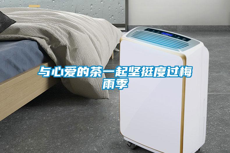 與心愛的茶一起堅(jiān)挺度過梅雨季