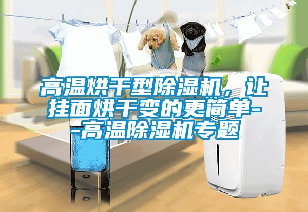 高溫烘干型除濕機(jī)，讓掛面烘干變的更簡單--高溫除濕機(jī)專題