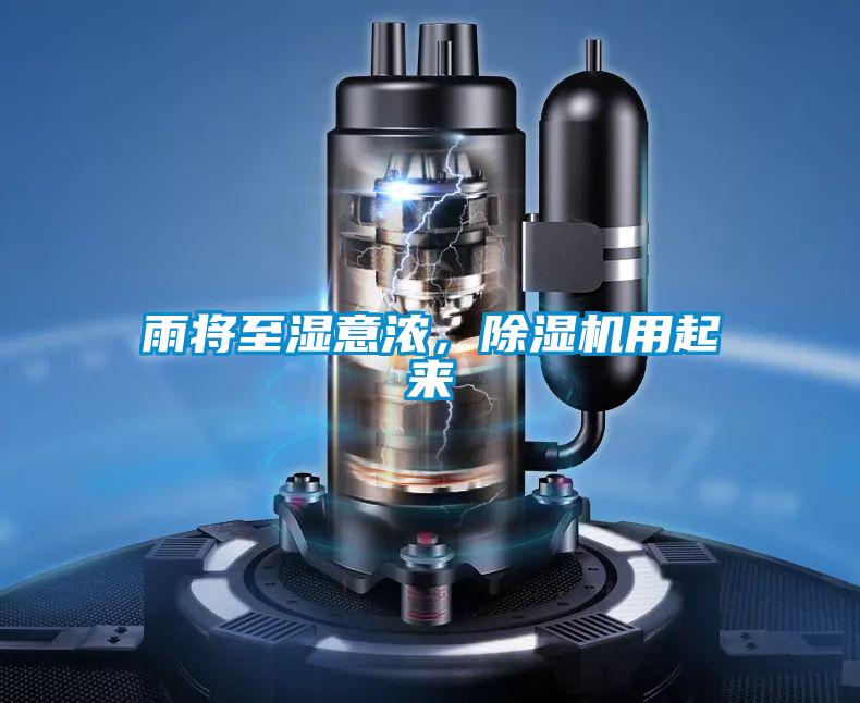 雨將至濕意濃，除濕機用起來
