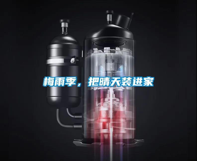 梅雨季，把晴天裝進(jìn)家