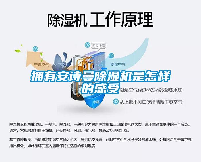 擁有安詩曼除濕機是怎樣的感受
