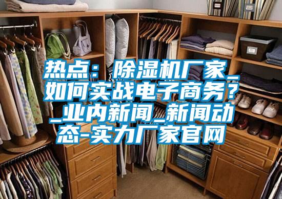 熱點：除濕機(jī)廠家_如何實戰(zhàn)電子商務(wù)？_業(yè)內(nèi)新聞_新聞動態(tài)-實力廠家官網(wǎng)