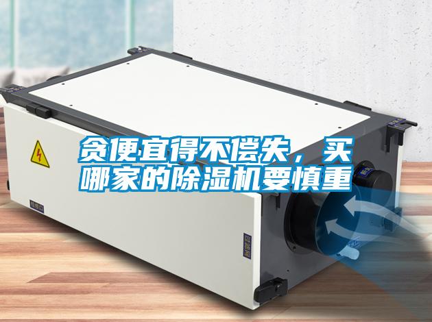 貪便宜得不償失，買哪家的除濕機(jī)要慎重