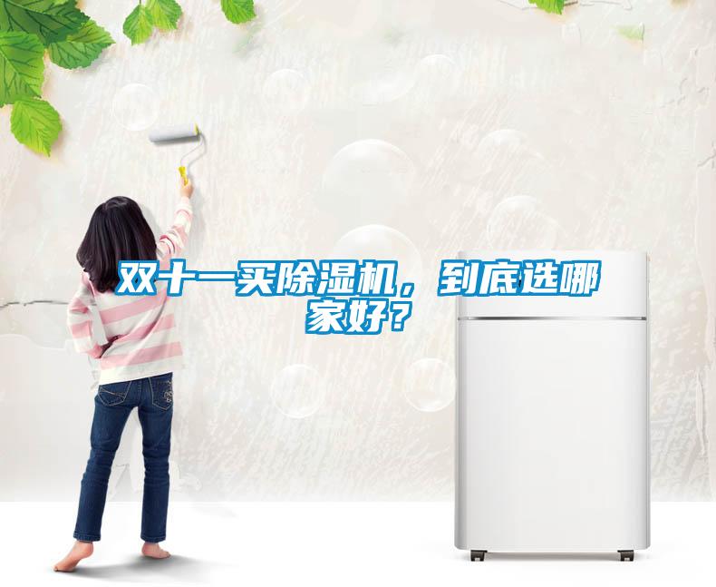 雙十一買除濕機，到底選哪家好？