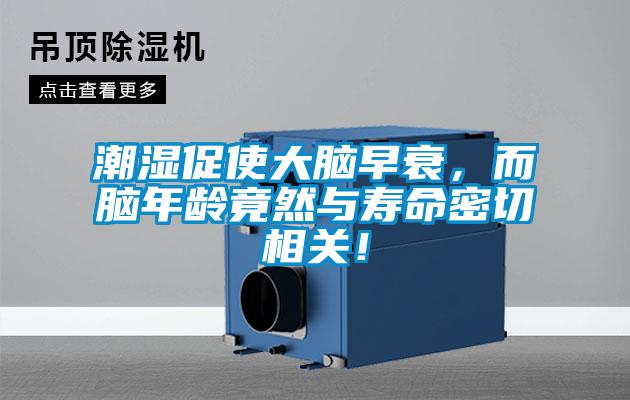 潮濕促使大腦早衰，而腦年齡竟然與壽命密切相關(guān)！