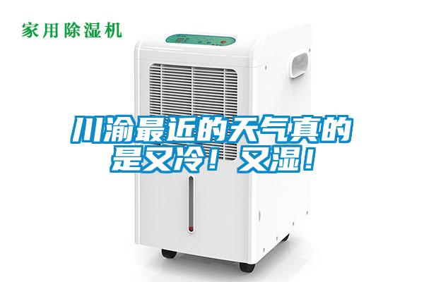 川渝最近的天氣真的是又冷！又濕！