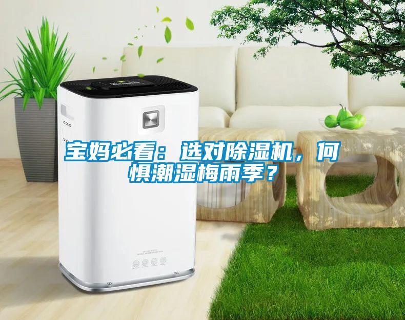 寶媽必看：選對除濕機(jī)，何懼潮濕梅雨季？