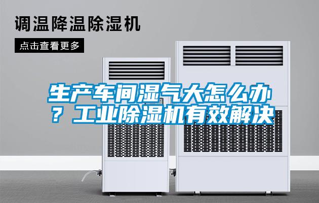 生產(chǎn)車間濕氣大怎么辦？工業(yè)除濕機有效解決