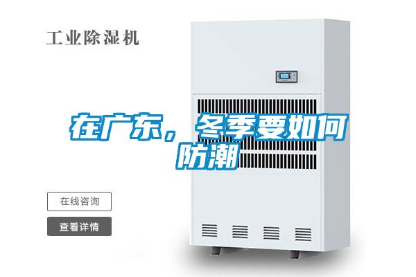 在廣東，冬季要如何防潮