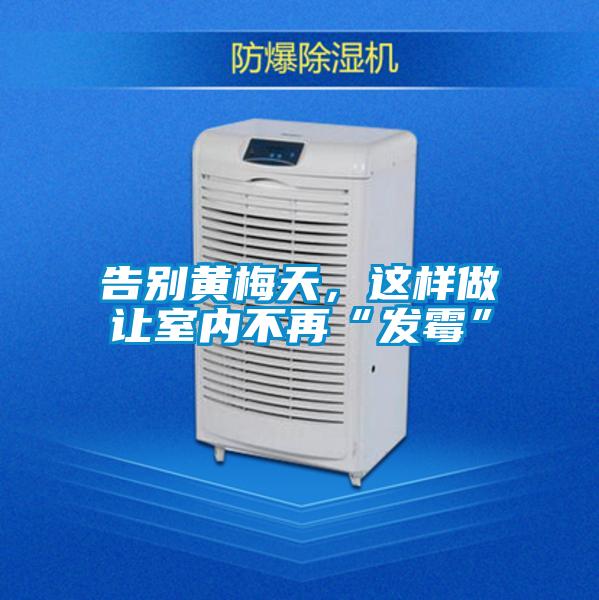 告別黃梅天，這樣做讓室內不再“發(fā)霉”