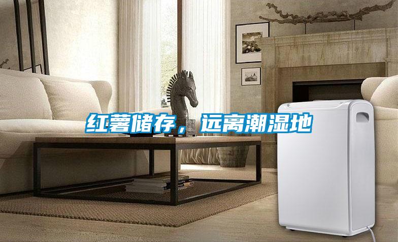 紅薯儲(chǔ)存，遠(yuǎn)離潮濕地