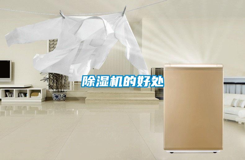 除濕機(jī)的好處