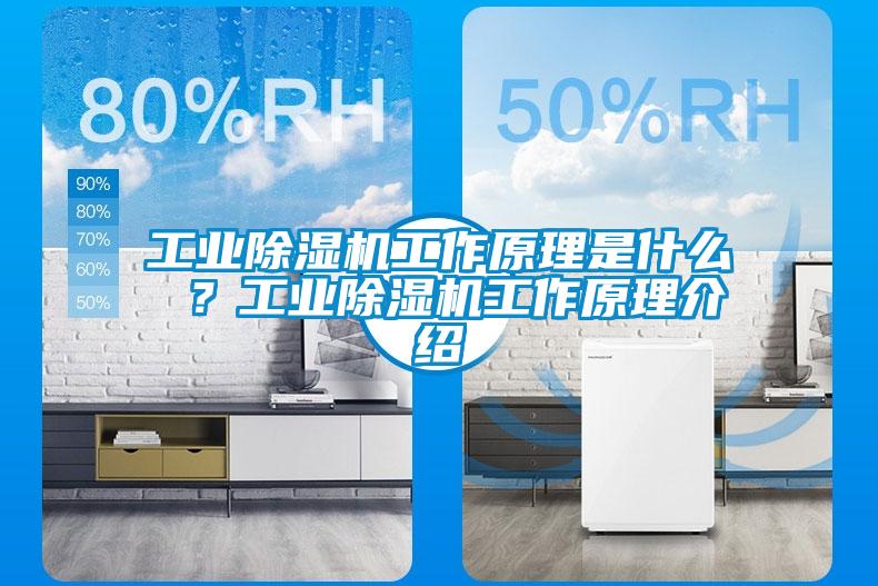 工業(yè)除濕機(jī)工作原理是什么 ？工業(yè)除濕機(jī)工作原理介紹