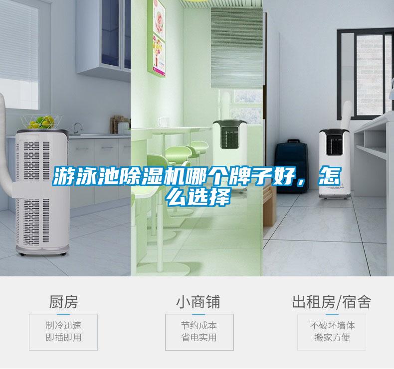 游泳池除濕機(jī)哪個(gè)牌子好，怎么選擇