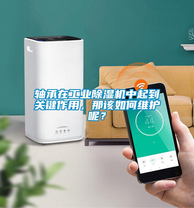 軸承在工業(yè)除濕機(jī)中起到關(guān)鍵作用，那該如何維護(hù)呢？