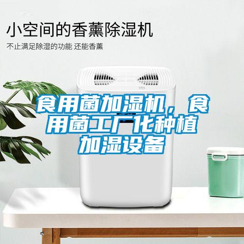 食用菌加濕機(jī)，食用菌工廠化種植加濕設(shè)備