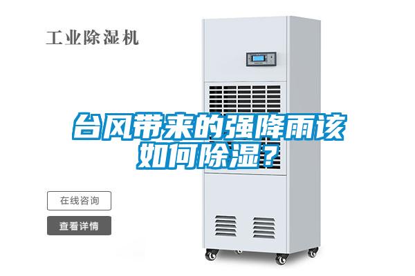 臺(tái)風(fēng)帶來(lái)的強(qiáng)降雨該如何除濕？
