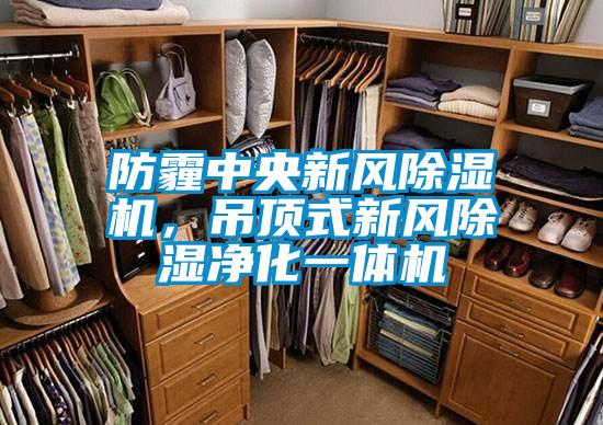 防霾中央新風(fēng)除濕機(jī)，吊頂式新風(fēng)除濕凈化一體機(jī)