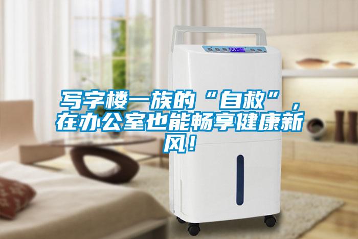 寫字樓一族的“自救”，在辦公室也能暢享健康新風(fēng)！