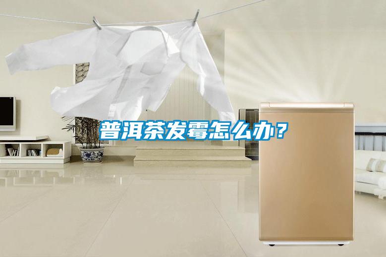 普洱茶發(fā)霉怎么辦？